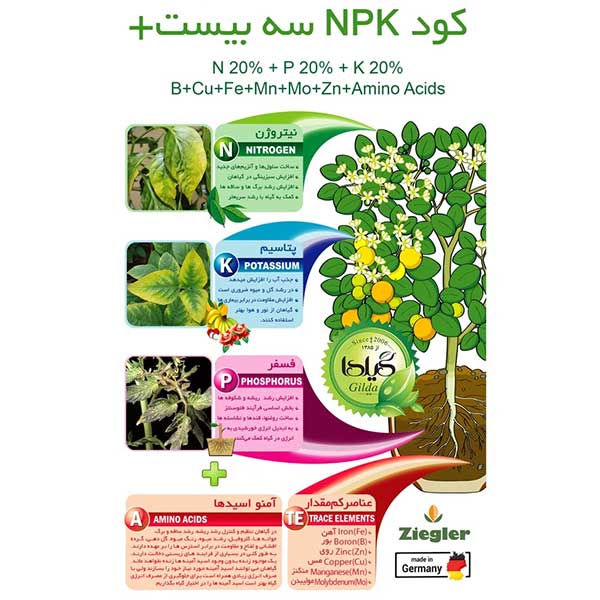 خرید اینترنتی کود مایع سه بیست گرین پیک مدل NPK 20-20-20 وزن 10 کیلوگرم اگروهاب - بازار آنلاین نهاده‌ها، بذر، کود و تجهیزات کشاورزی